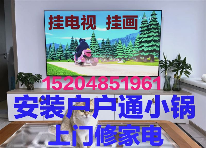 上門修家電，掛電視，掛畫，安小鍋，安熱水器15204851961